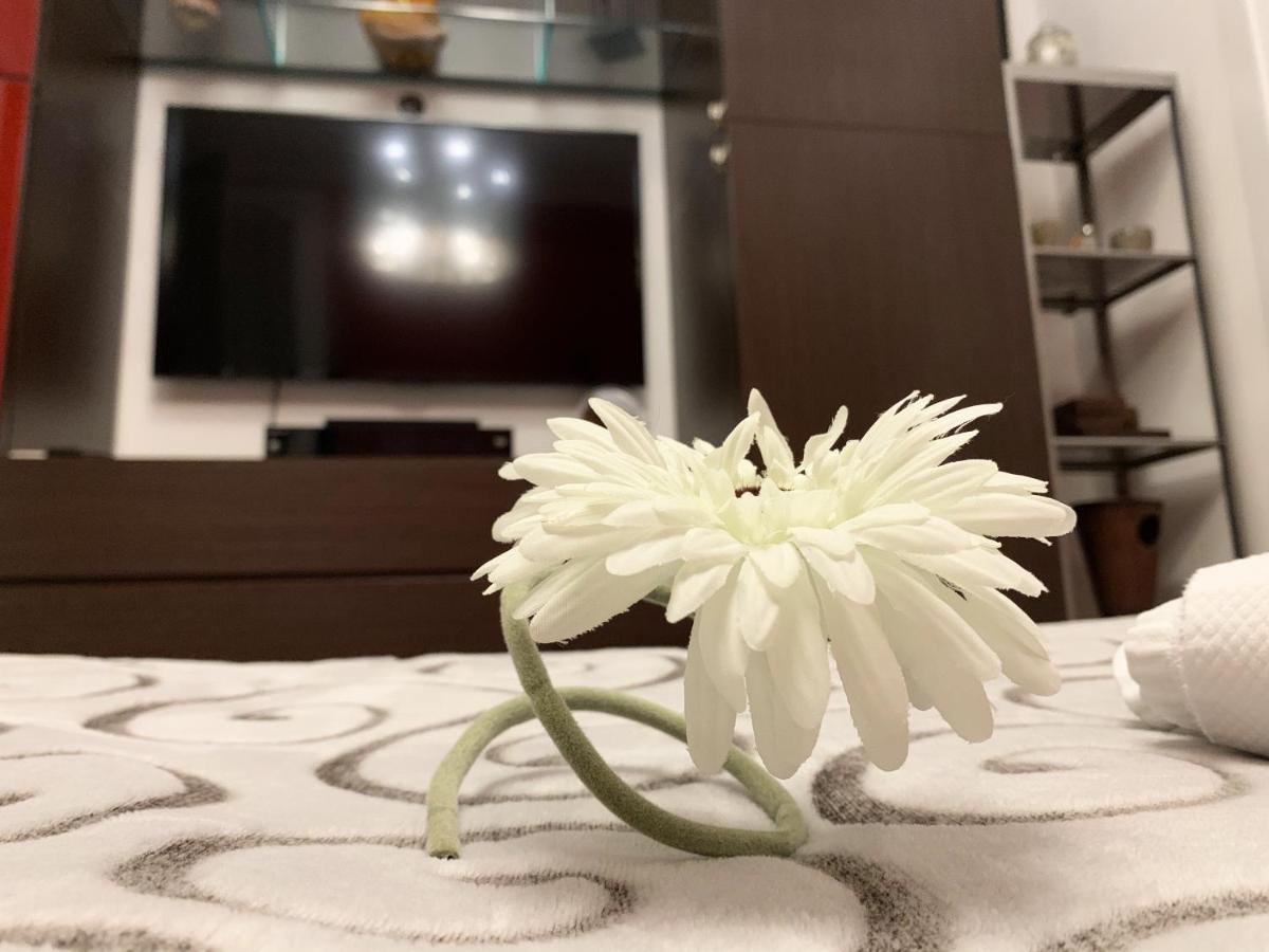 Sansiro47 Bed and Breakfast Μιλάνο Εξωτερικό φωτογραφία